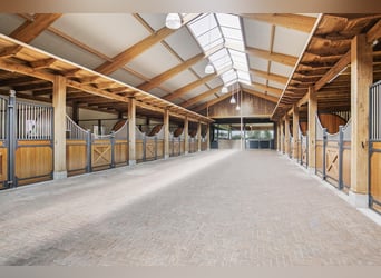 A Stunning Equestrian Estate with Endless Possibilities for the Professional Horse Enthusiast!