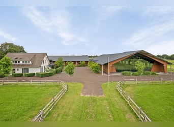 A Stunning Equestrian Estate with Endless Possibilities for the Professional Horse Enthusiast!