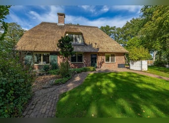 Amazing location for horselovers