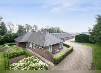 An exceptional equestrian estate with outstanding facilities!