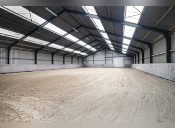 An exceptional equestrian estate with outstanding facilities!