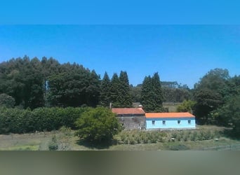 Anwesen mit Haus und privater Reitanlage