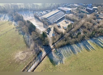 Attraktive Reitanlage zwischen Montabaur und Limburg–Perfekte Infrastruktur + lukratives Investment