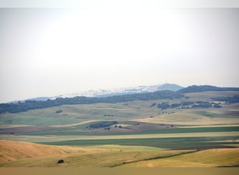 Aussicht, Aussicht, Aussicht.