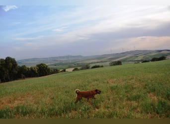 Aussicht, Aussicht, Aussicht.