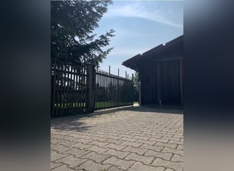 Autarkes Pferde- & Naturparadies (ca. 2,3 ha)mit Eigenwasser, PV-Ertrag & XL-Unterstand bei Landshut