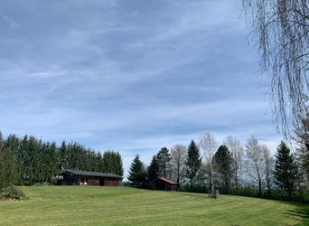 Autarkes Pferde- & Naturparadies (ca. 2,3 ha)mit Eigenwasser, PV-Ertrag & XL-Unterstand bei Landshut