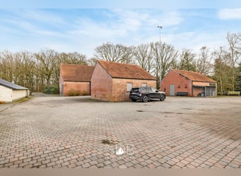 Authentieke hoeve met diverse bijgebouwen en graslanden op 93.155m² - 2300 Turnhout