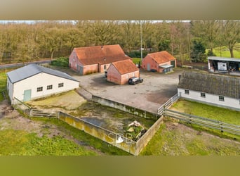 Authentieke hoeve met diverse bijgebouwen en graslanden op 93.155m² - 2300 Turnhout