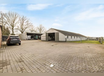 Authentieke hoeve met diverse bijgebouwen en graslanden op 93.155m² - 2300 Turnhout