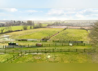 Authentieke hoeve met diverse bijgebouwen en graslanden op 93.155m² - 2300 Turnhout