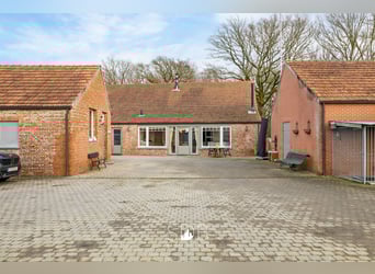 Authentieke hoeve met diverse bijgebouwen en graslanden op 93.155m² - 2300 Turnhout