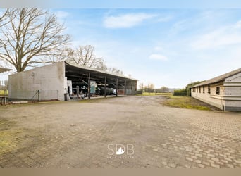 Authentieke hoeve met diverse bijgebouwen en graslanden op 93.155m² - 2300 Turnhout