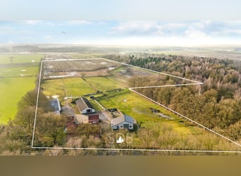 Authentieke hoeve met diverse bijgebouwen en graslanden op 93.155m² - 2300 Turnhout
