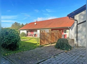Baden Württemberg, Landkreis Heilbronn - Reitanlage zu verkaufen!