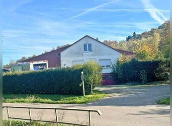 Baden Württemberg, Landkreis Heilbronn - Reitanlage zu verkaufen!