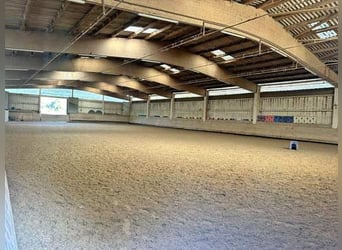 Baden Württemberg, Landkreis Heilbronn - Reitanlage zu verkaufen!