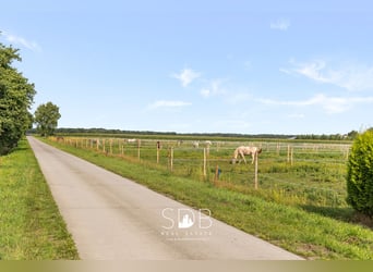 Boerderij met paardenfaciliteiten en graslanden op  14.490m² te Antwerpen | België