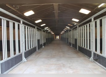 Boerderij met paardenfaciliteiten en graslanden op  14.490m² te Antwerpen | België