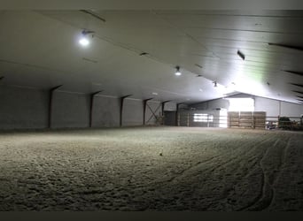 Boerderij met paardenfaciliteiten en graslanden op  14.490m² te Antwerpen | België