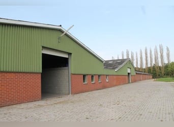 Boerderij met paardenfaciliteiten en graslanden op  14.490m² te Antwerpen | België