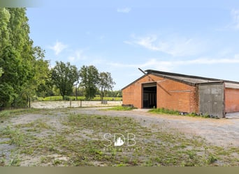 Boerderij met paardenfaciliteiten en graslanden op  14.490m² te Antwerpen | België