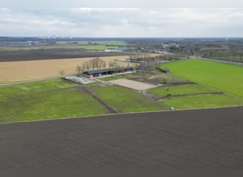 Buskensven 1, Oostrum