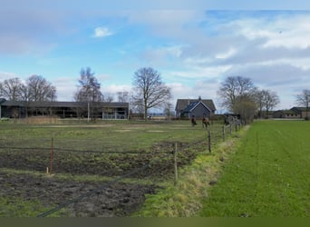Buskensven 1, Oostrum