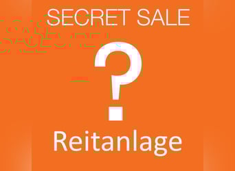  Charmante Reitanlage zwischen Stuttgart und dem Bodensee