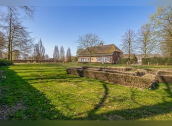 Charming Equestrian Property with Excellent Facilities in a Unique Setting