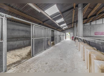 COMPACT EQUESTRIAN COMPLEX