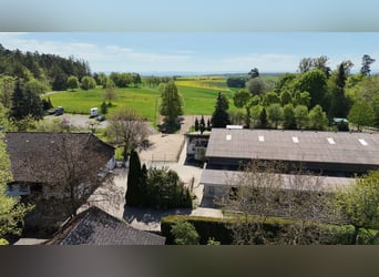 Einzigartige Reitanlage in traumhafter Aussichtslage - 387-26