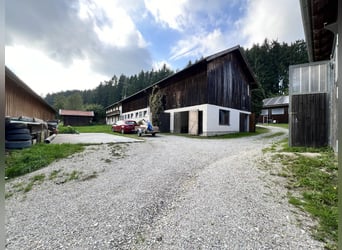 Einzigartiger Pferdehof in traumhafter Alleinlage – ca. 4 ha Eigenland, zwei Wohnhäuser und moderne