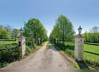 Elegantes Privatanwesen in Alleinlage für Pferdefreunde in ruhiger Lage