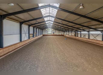 Estate with Professional Equestrian Facilities and Spacious Living Options