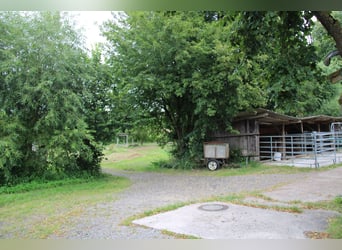 Etablierte Ranch- und Reitanlage – ca. 8 ha arrondierte Fläche – vielseitig nutzbar