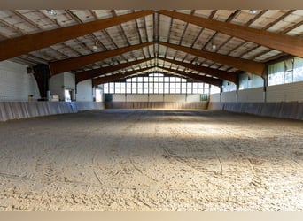 Exklusive Reitanlage im Sauerland | Landhaus, Ferienwohnungen, Reithalle mit Ausbaupotenzial