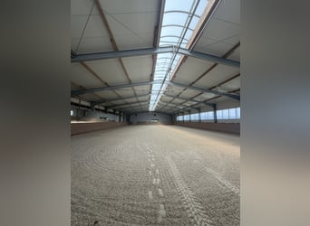 Exklusive Reitsportanlage mit moderner Lagerhalle bei Mühldorf - 388-26