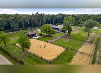 Exklusive Villa mit Gästehaus und Reitanlagen in der Nähe des Nationalparks De Meinweg