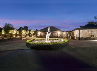 Exklusive Villa mit Gästehaus und Reitanlagen in der Nähe des Nationalparks De Meinweg