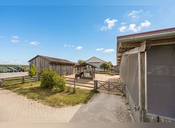 Exklusiver Pferdehof mit preisgekrönt saniertem Jurabauernhaus inklusive nachhaltigem Energiekonzept