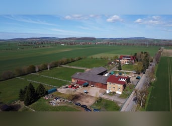 Exklusiver Pferdehof mit Reitanlage & Mehrfamilienhaus – Rendite und Lebensqualität vereint
