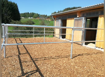 Exklusives Reiteranwesen mit Alpenpanorama – Pferdeparadies mit Perspektive V13084