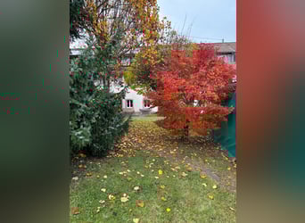 Gepflegtes Pferdeanwesen - 5000 qm, Sandplatz und Alpenblick | Nähe CH| grosses Ausbaupotenzial