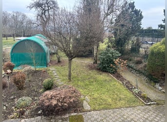 Gepflegtes Pferdeanwesen - 5000 qm, Sandplatz und Alpenblick | Nähe CH| grosses Ausbaupotenzial