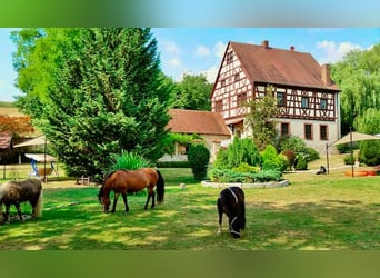 Graf & Gräfin gesucht -Romantik-Traum-Schloss mit arrondierten Ländereien - Pferde- & Event-Location