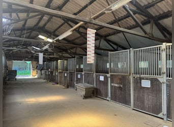 Großzügige Hofanlage in Ortsrandlage