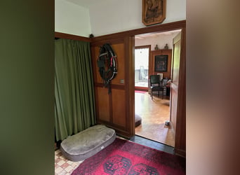 Haus mit Pferdestall, Roundpen und Reitplatz in ruhiger Ortsrandlage