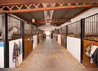 Haus mit Reitanlage