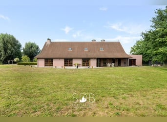 Hedendaagse villa met gezinstuin en graslanden op 7.496m2 te Heusden | België
